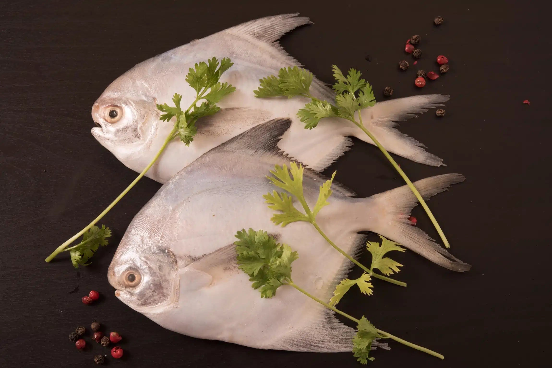 Silver Pomfret: A Delicate Seafood Delight