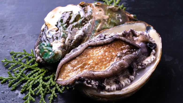 Abalone: The Ocean’s Culinary Treasure