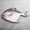 Silver Pomfret